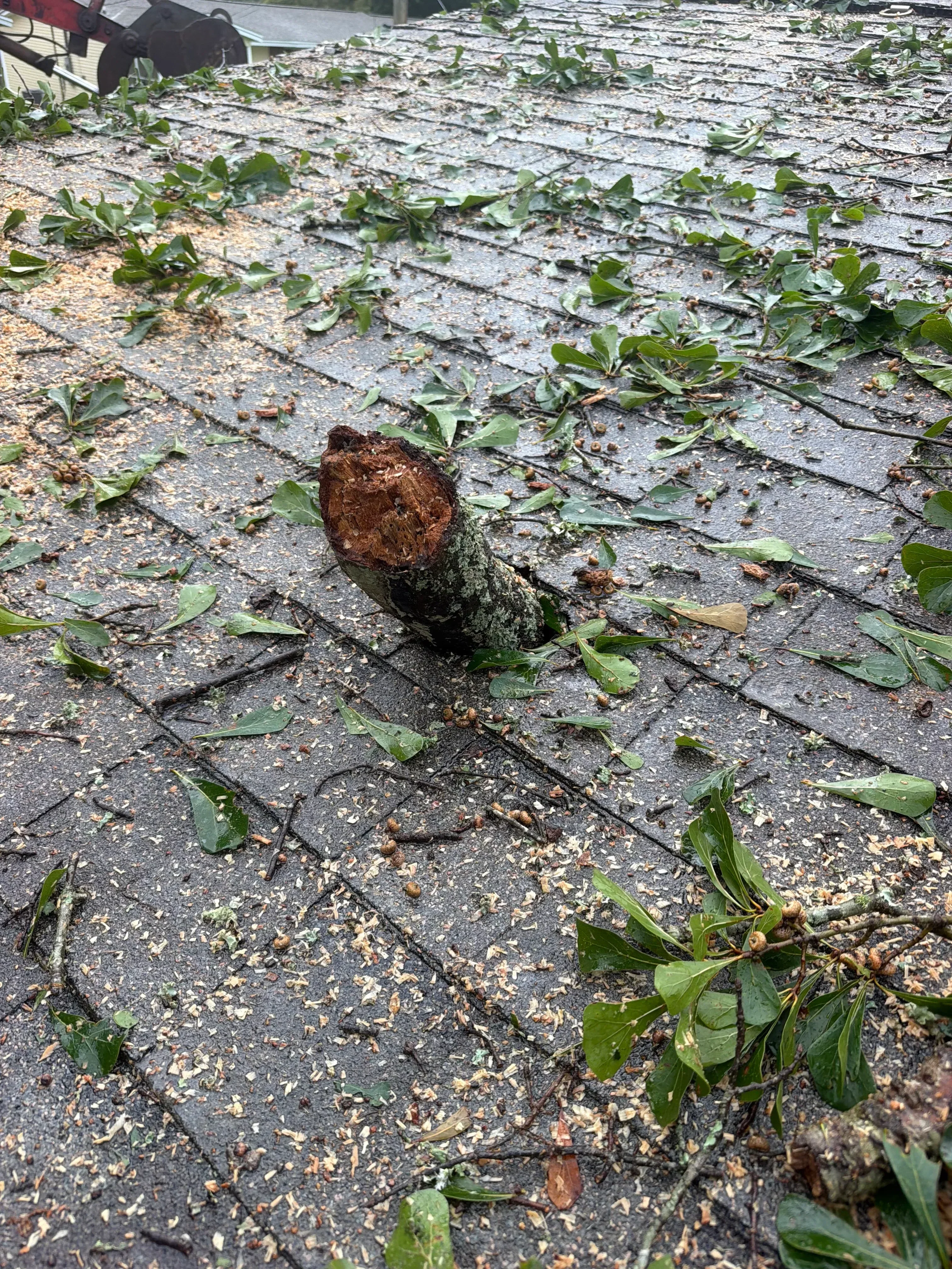 Corroded underground utility pipe exposed during excavation with rust damage visible