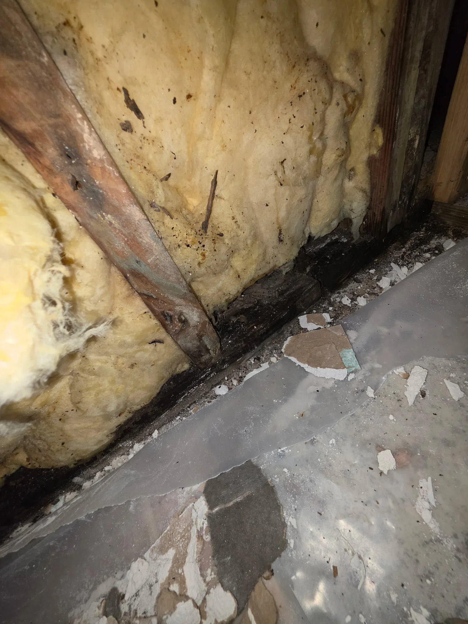 Moldy basement foundation wall with water damage, saturated insulation, and concrete floor deterioration