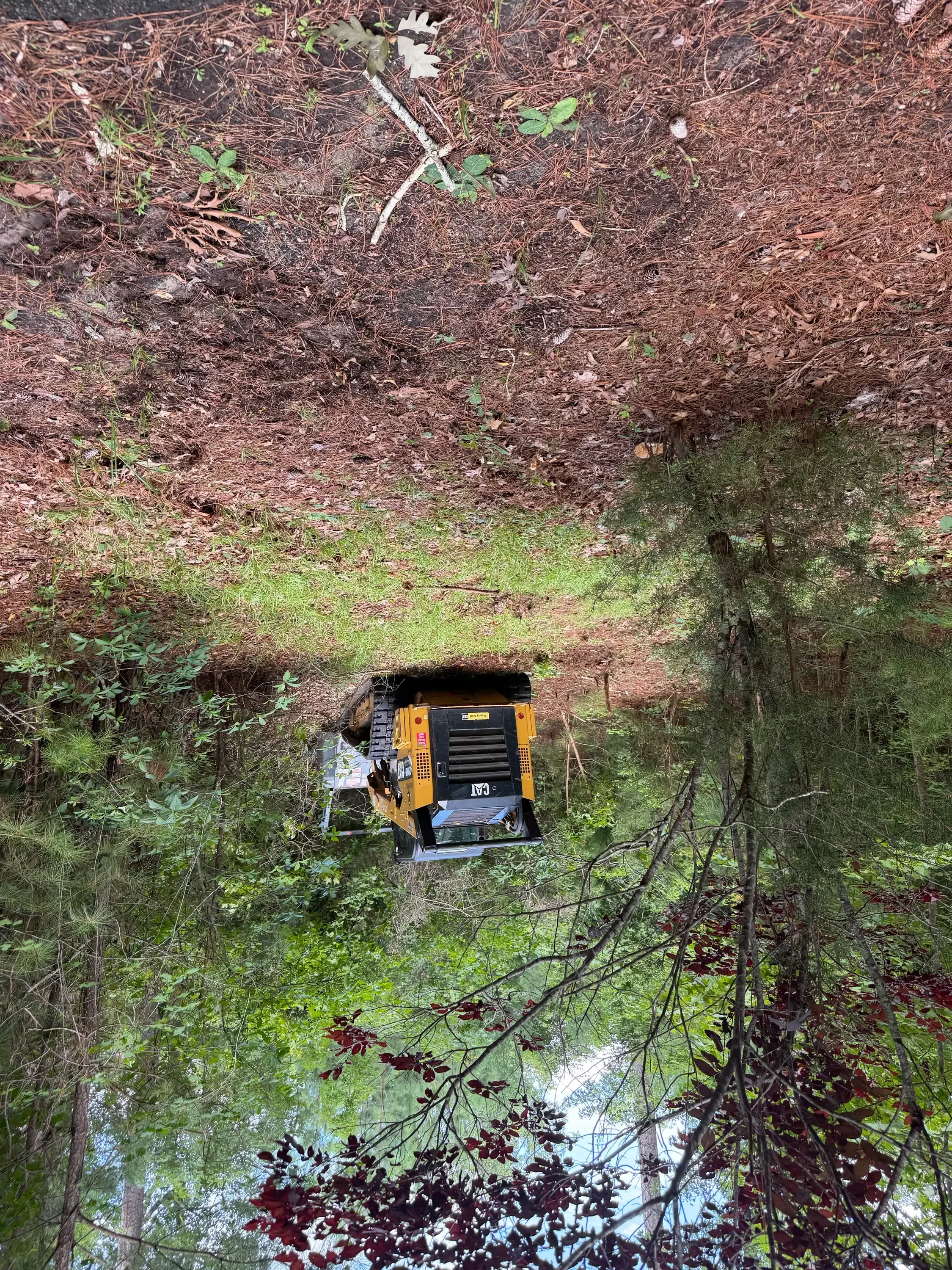 Yellow and black skid steer loader clearing overgrown vegetation and dead brush from residential lot