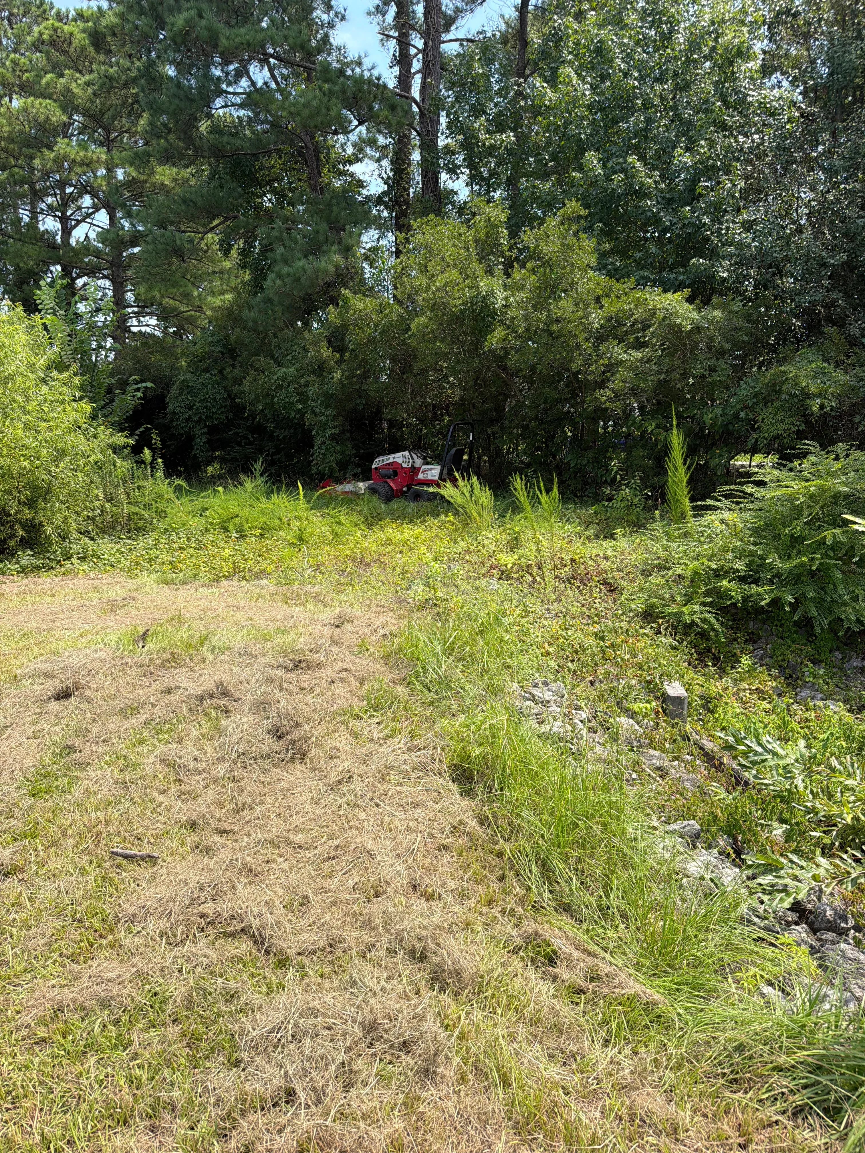 Before and after landscape clearing showing removal of dead grass, overgrown vegetation, and brush from residential property