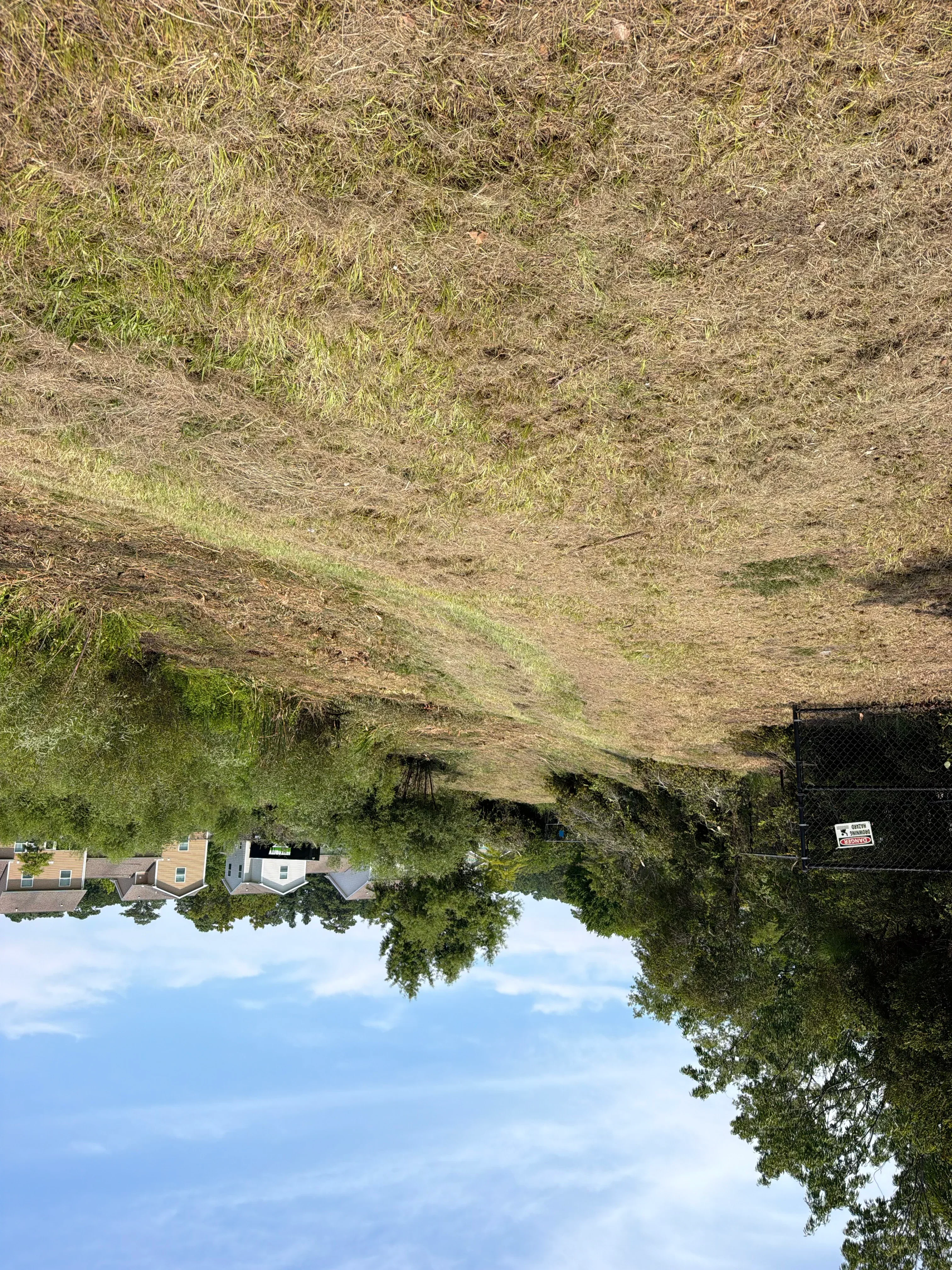 Cleared residential lot with removed vegetation, exposed soil, and mature trees along perimeter