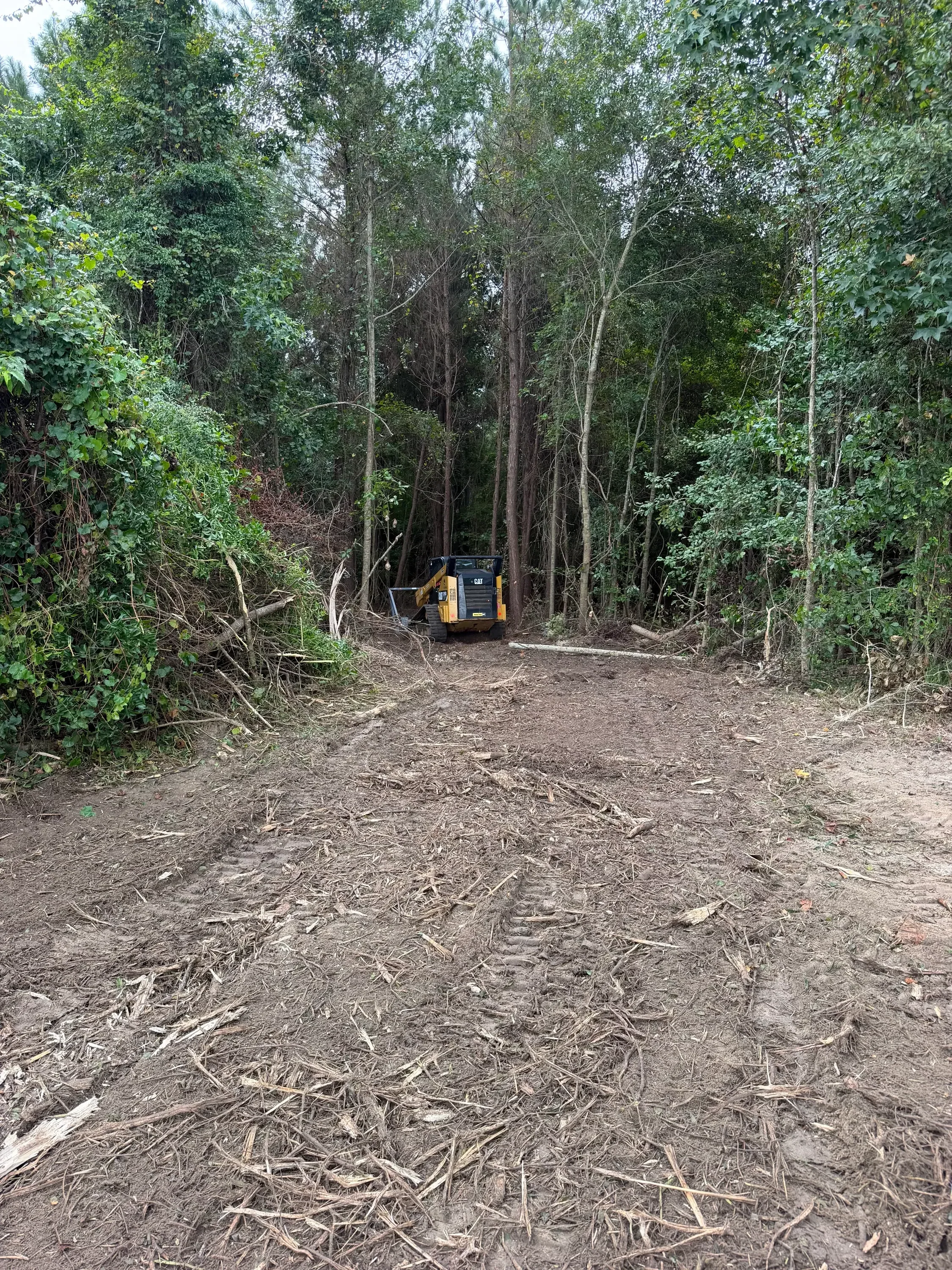 Cleared dirt lot with removed vegetation and brush debris, equipment visible