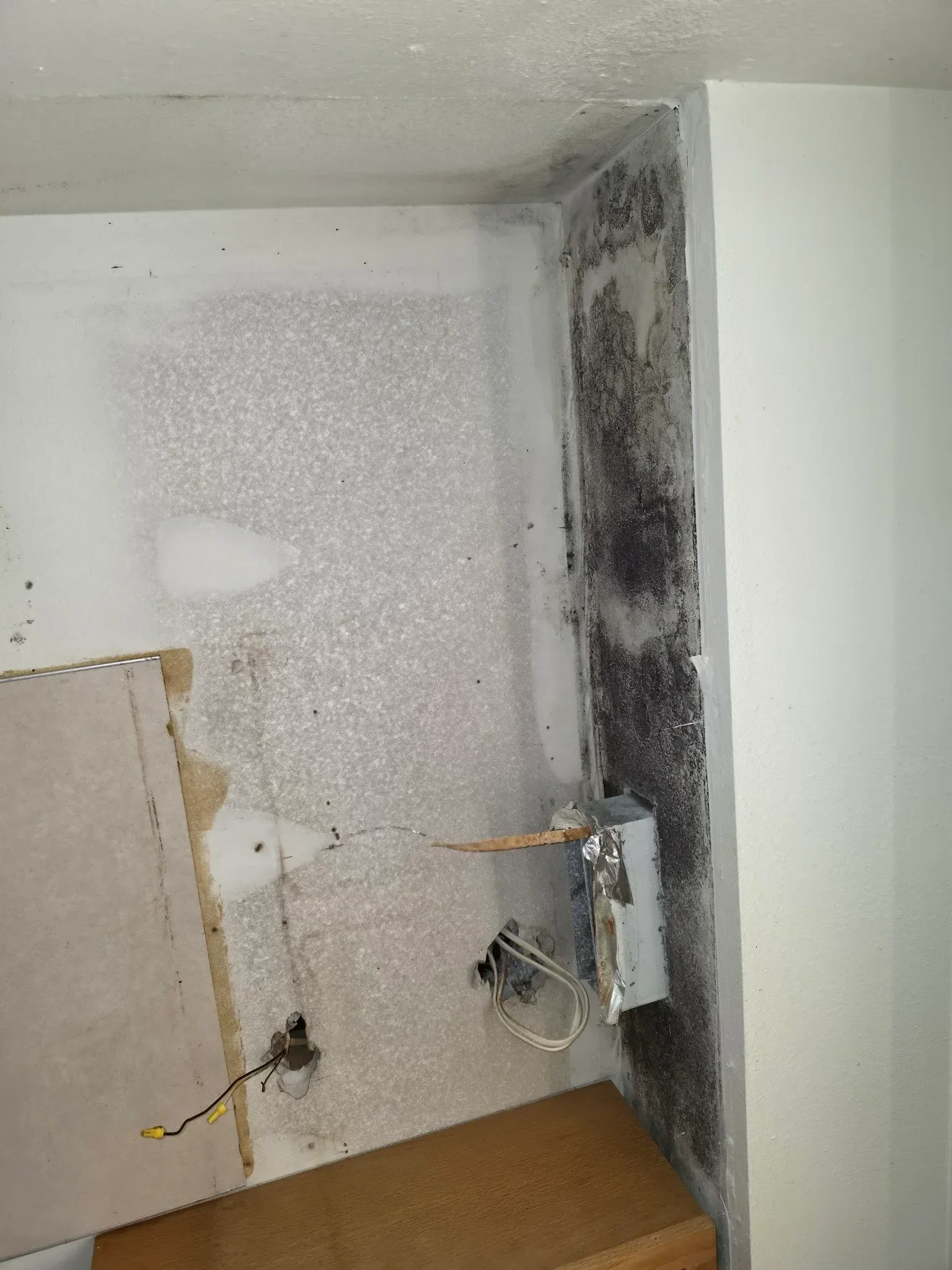 Water-damaged ceiling with mold growth, exposed drywall, and electrical wiring during restoration