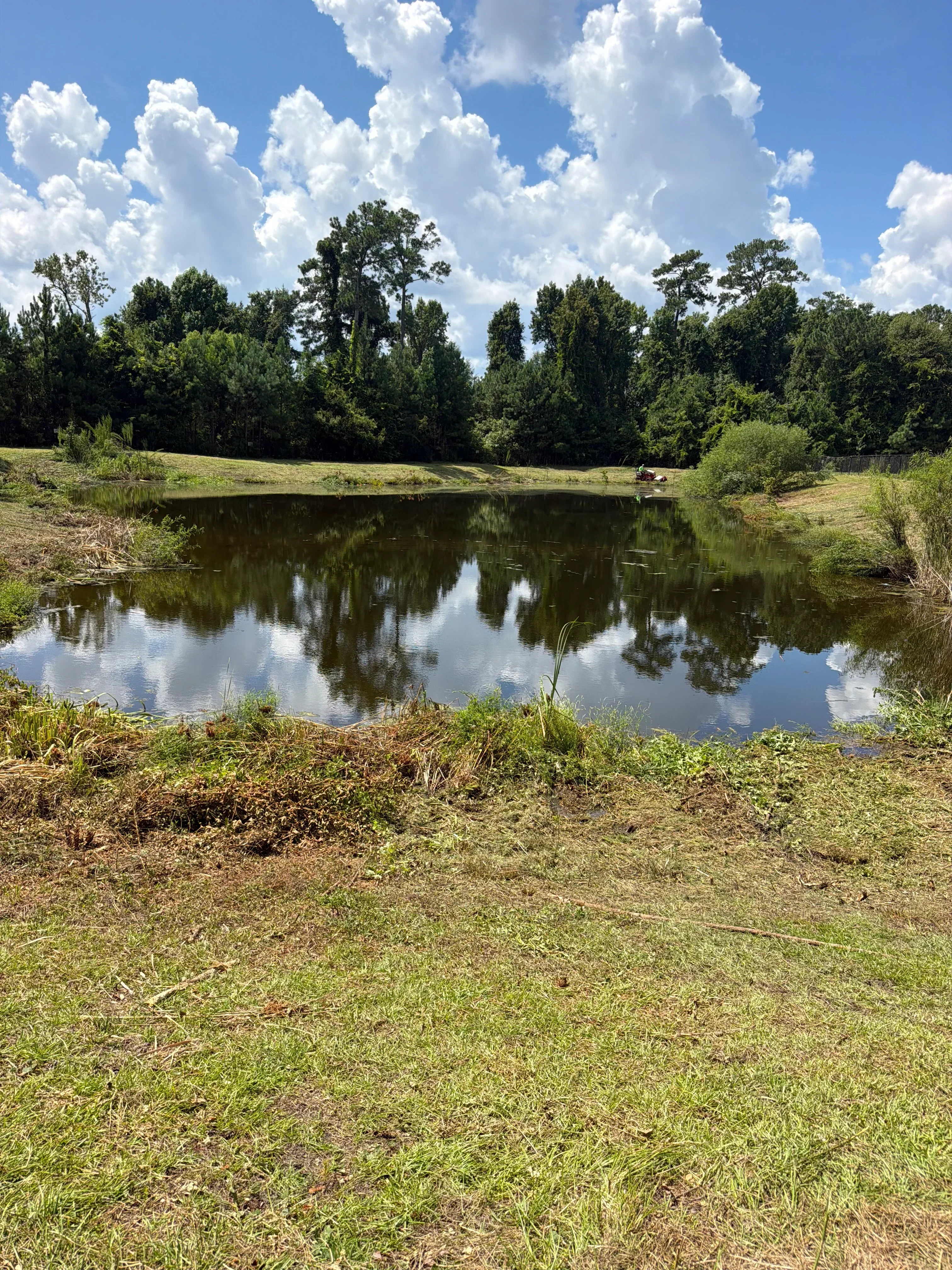 Cleared land with exposed soil, selective tree removal, and mature trees retained on property perimeter